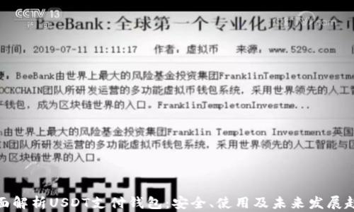 全面解析USDT支付钱包:安全、使用及未来发展趋势