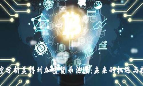 深度分析美得州加密货币法案:未来的机遇与挑战