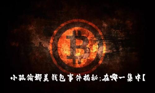 小狐偷娜美钱包事件揭秘:在哪一集中?