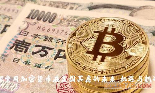 探索用加密货币在美国买房的未来:机遇与挑战