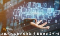 小狐钱包私钥使用详解:复制粘贴是否可行?