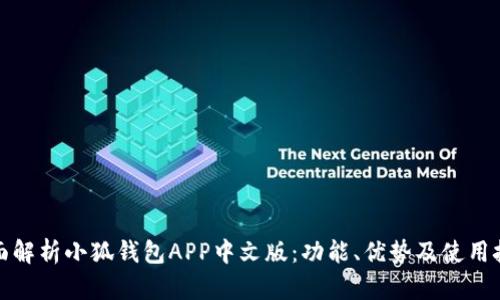全面解析小狐钱包APP中文版:功能、优势及使用技巧