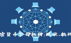 深入探讨加密货币公司机构:现状、挑战与未来