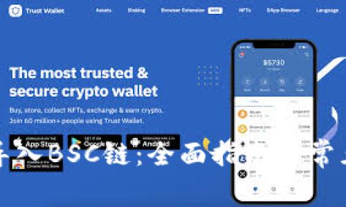 小狐钱包导入BSC链:全面指南与常见问题解析