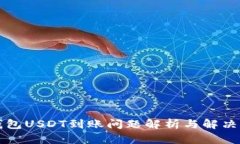 TP钱包USDT到账问题解析与解决指南