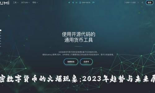 加密数字货币的火爆现象:2023年趋势与未来展望