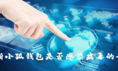 如何判断小狐钱包是否感染病毒的全面指南