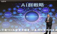  深入了解TED加密货币投资：从基础到实战的全面
