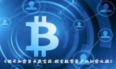 《揭开加密货币藏宝图:探索数字资产的秘密之