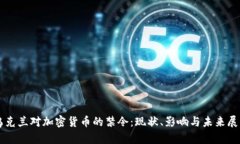 乌克兰对加密货币的禁令：现状、影响与未来展