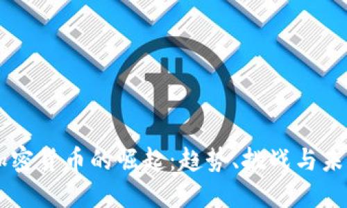非洲加密货币的崛起:趋势、挑战与未来展望
