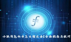  小狐钱包的币怎么转出去？全面指南与技巧