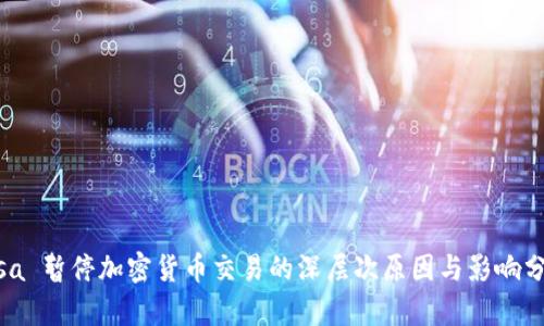 Visa 暂停加密货币交易的深层次原因与影响分析