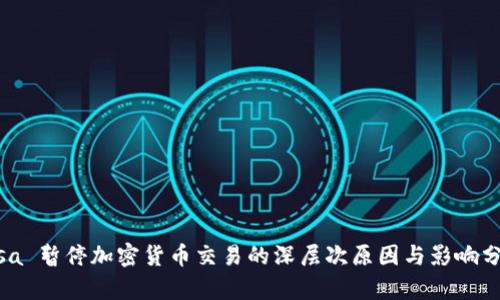 Visa 暂停加密货币交易的深层次原因与影响分析