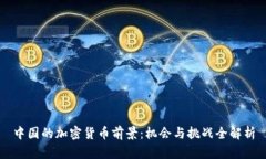 中国的加密货币前景:机会与挑战全解析