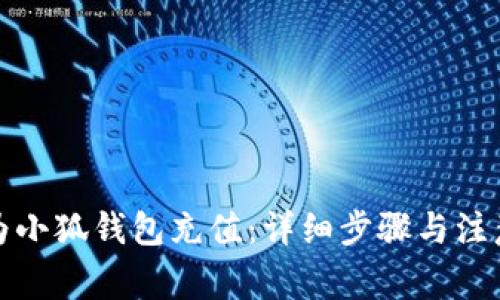 如何为小狐钱包充值:详细步骤与注意事项