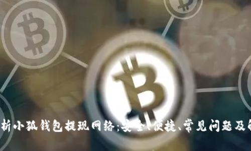  全面解析小狐钱包提现网络：安全、便捷、常见问题及解决方案