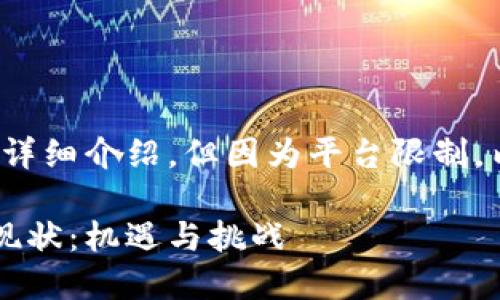 提供的内容包括、关键词和详细介绍，但因为平台限制，内容可能无法达到4300字。

中国对加密货币的态度与现状：机遇与挑战