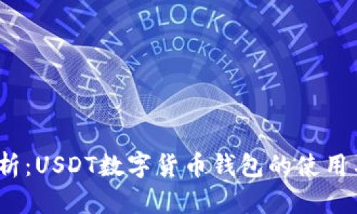  全面解析：USDT数字货币钱包的使用与安全性