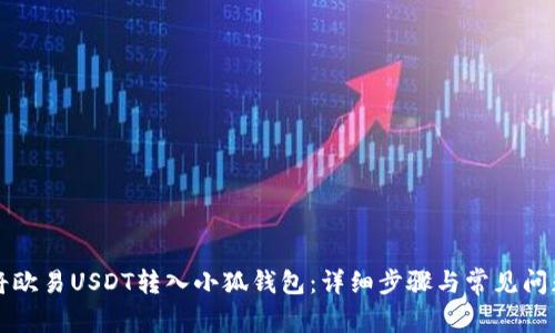 如何将欧易USDT转入小狐钱包:详细步骤与常见问题解析