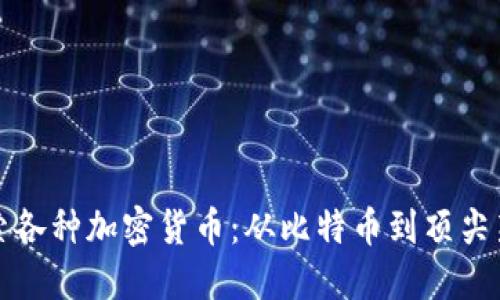 深入探索各种加密货币：从比特币到顶尖新兴币种