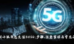 全面解析小狐钱包充值BUSD：步骤、注意事项与常