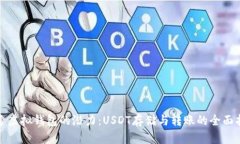 探索虚拟钱包的潜力：USDT存储与转账的全面指南
