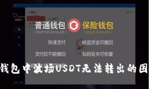 如何解决TP钱包中波场USDT无法转出的困扰:详尽指南