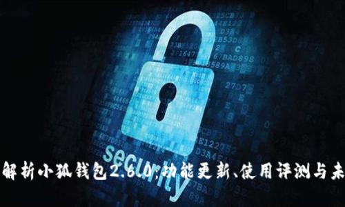 : 全面解析小狐钱包2.6.0:功能更新、使用评测与未来展望