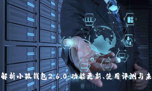 : 全面解析小狐钱包2.6.0:功能更新、使用评测与未来展望
