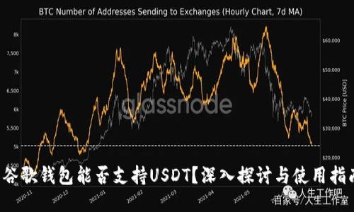 谷歌钱包能否支持USDT?深入探讨与使用指南