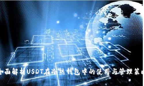 全面解析USDT在冷热钱包中的使用与管理策略