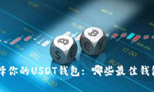 : 在多链环境中选择你的USDT钱包: 哪些最佳钱包能便捷转账USDT?