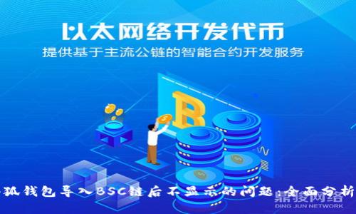 如何解决小狐钱包导入BSC链后不显示的问题:全面分析与解决方案