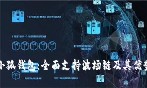 探秘小狐钱包:全面支持波场链及其优势解析