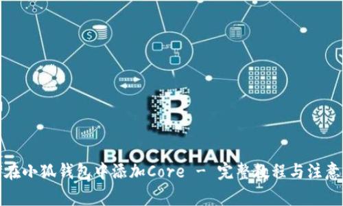 如何在小狐钱包中添加Core - 完整教程与注意事项