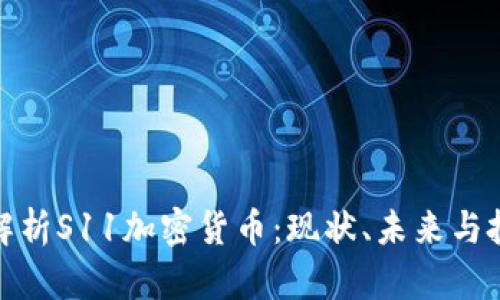 全方位解析S11加密货币:现状、未来与投资策略