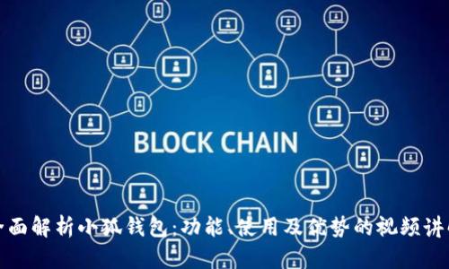 全面解析小狐钱包：功能、使用及优势的视频讲解
