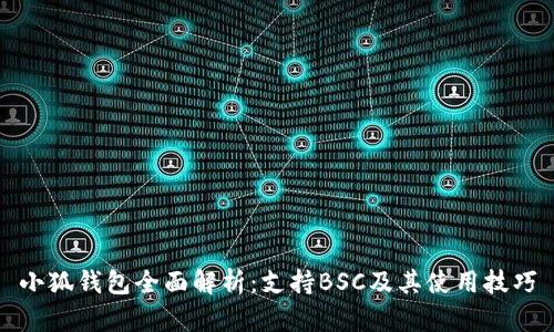 小狐钱包全面解析:支持BSC及其使用技巧