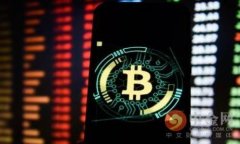 小狐钱包背后的资金来源揭秘:谁在暗中支持?