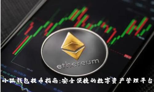 小狐钱包提币指南:安全便捷的数字资产管理平台