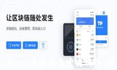 如何在MetaMask中添加自定义网络:详细操作指南