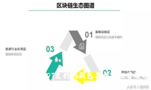 全面解析：USDT支持的钱包类型及推荐选择