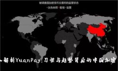 深入解析YuanPay：习惯与趋势背后的中国加密货币