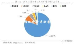   梅西如何利用加密货币进行支付：全面解析与未