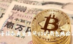 全面指南：全球各大交易所USDT钱包地址与使用技