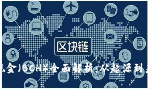 比特币现金（BCH）全面解析：从起源到未来发展