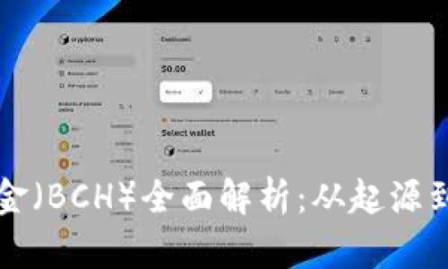 比特币现金（BCH）全面解析：从起源到未来发展