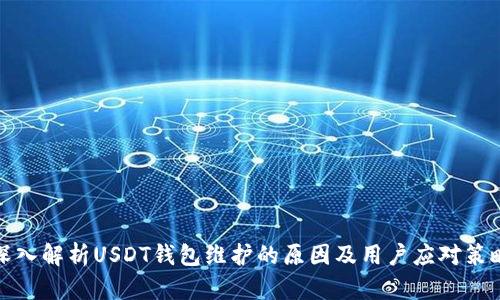 深入解析USDT钱包维护的原因及用户应对策略