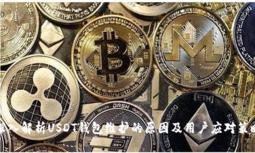 深入解析USDT钱包维护的原因及用户应对策略
